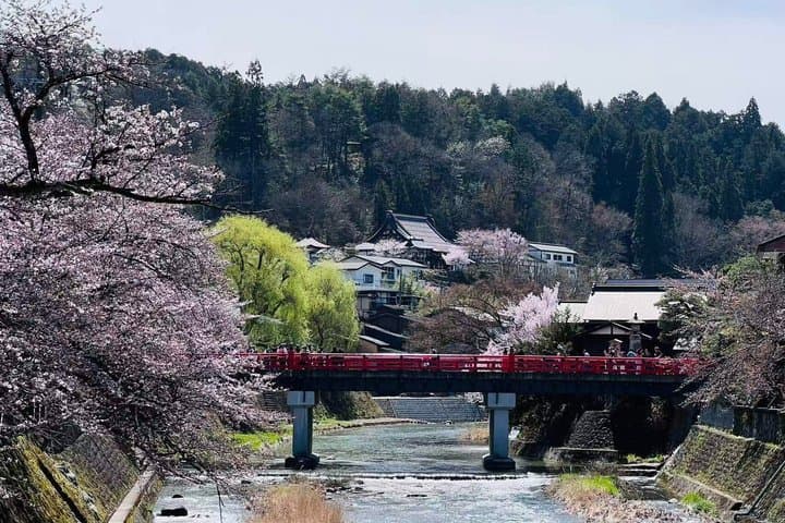 Takayama and Shirakawa-go Day Tour from Nagoya — photo 8