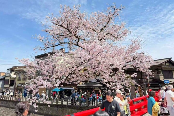 Takayama and Shirakawa-go Day Tour from Nagoya — photo 9