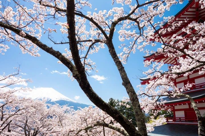 Mount Fuji Day Tour: MT.5th Station, Arakurayama & Oshino Hakkai. — photo 4