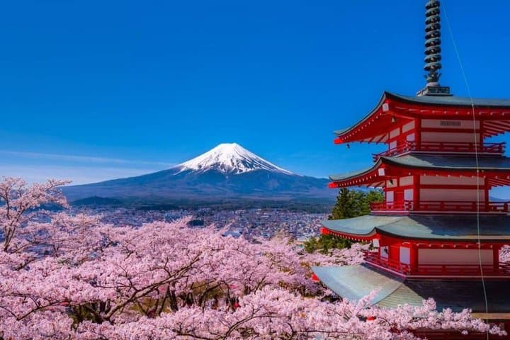 Mt Fuji Day Tour 5th Station Arakurayama Sengen Park and Matcha — photo 1