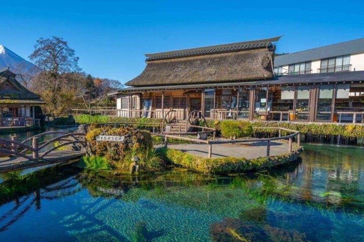 Mt Fuji Day Tour 5th Station Arakurayama Sengen Park and Matcha — photo 2
