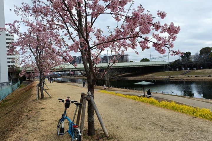 Tokyo East Side Cycling Tour Explore Residential Neighborhoods — photo 3