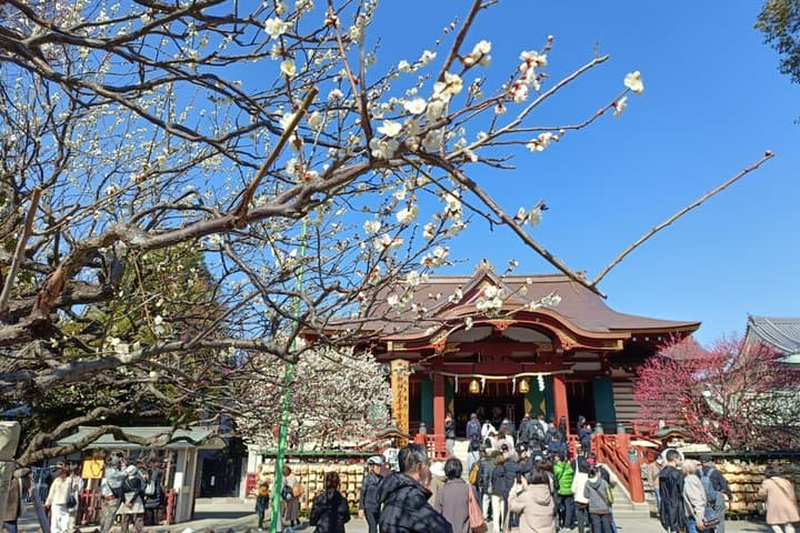 Tokyo East Side Cycling Tour Explore Residential Neighborhoods — photo 1