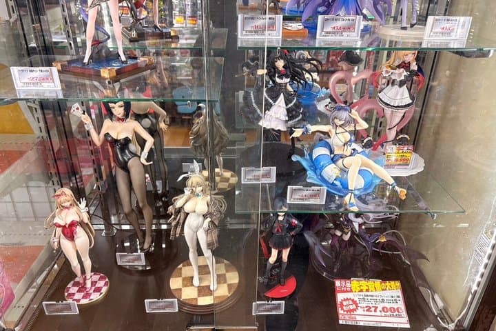 Tokyo Akihabara Anime & Manga Walking Tour with Hidden Gems — photo 17