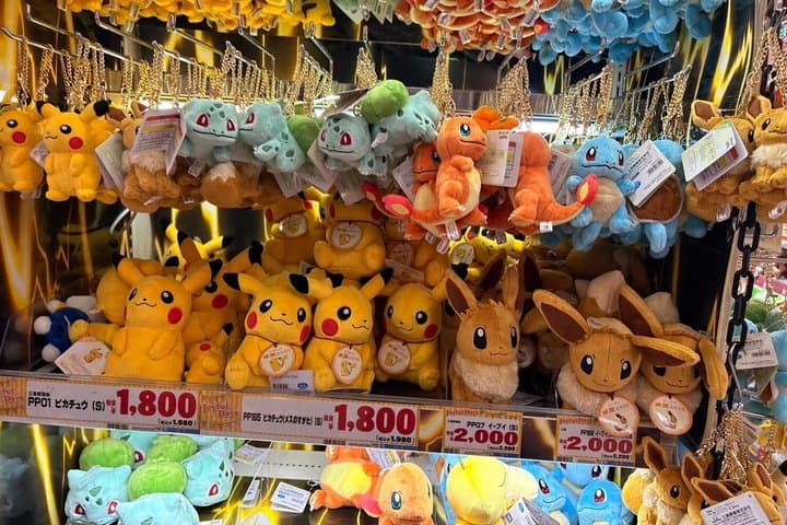 Tokyo Akihabara Anime & Manga Walking Tour with Hidden Gems — photo 20
