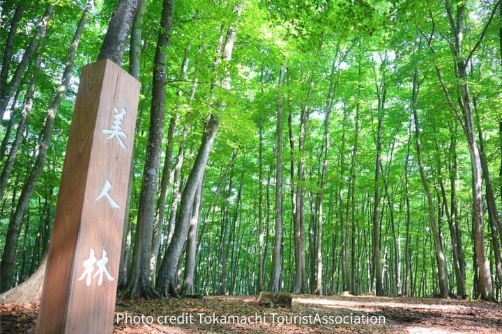 Hidden Gems:Art & Nature — photo 8
