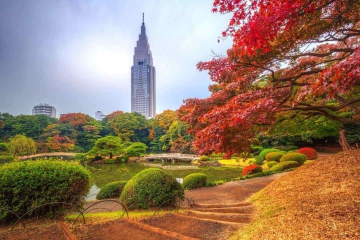 Tokyo Private Tour with English Guide in Luxury Vehicle — photo 10