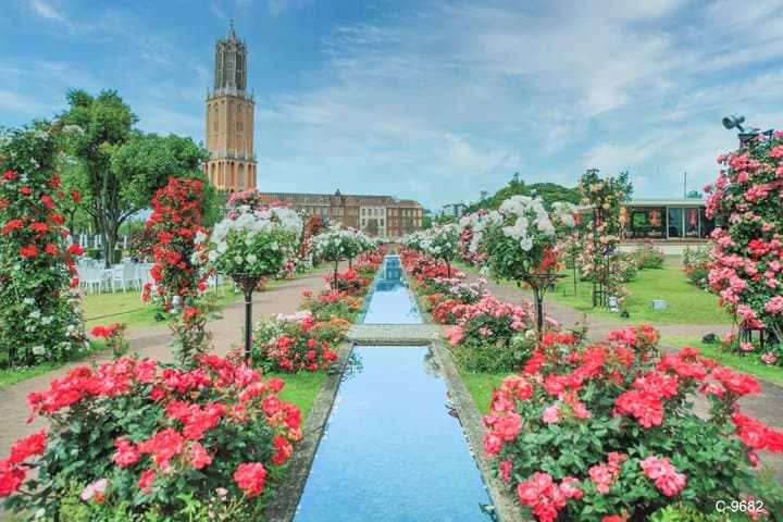 Huis Ten Bosch Full Day Bus Tour From Hakata — photo 3