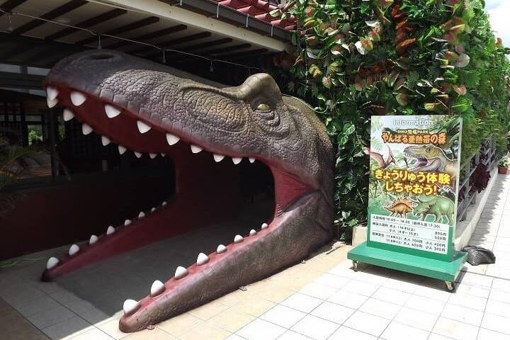 Okinawa 1 Week Free Pass — photo 3
