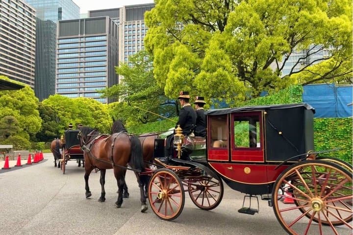 Tokyo Imperial Palace and Shogun Castle Walking Tour — photo 16