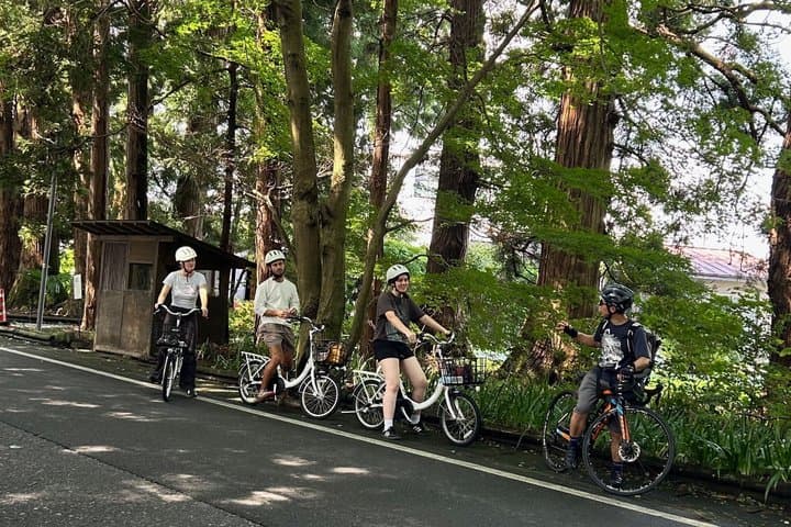 Nikko: Kegon Falls & Lake Chuzenji 3-Hour E-Bike Tour — photo 7