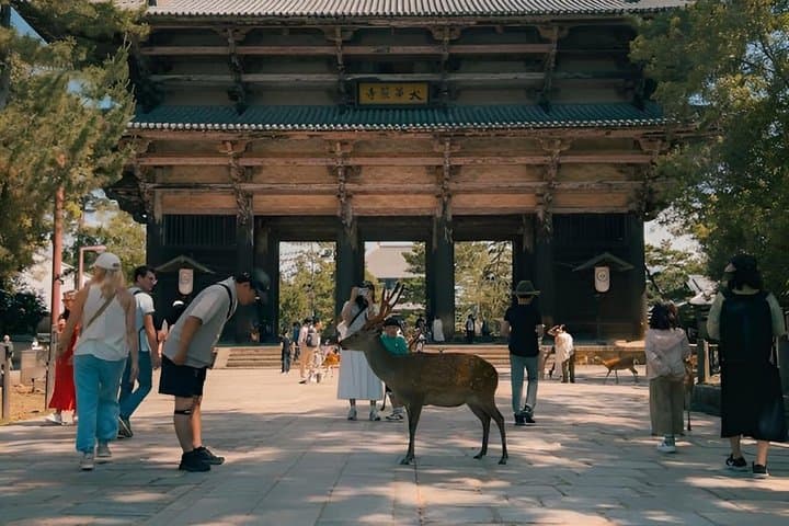 Experience Culture History and Landmarks in Kyoto Nara — photo 2