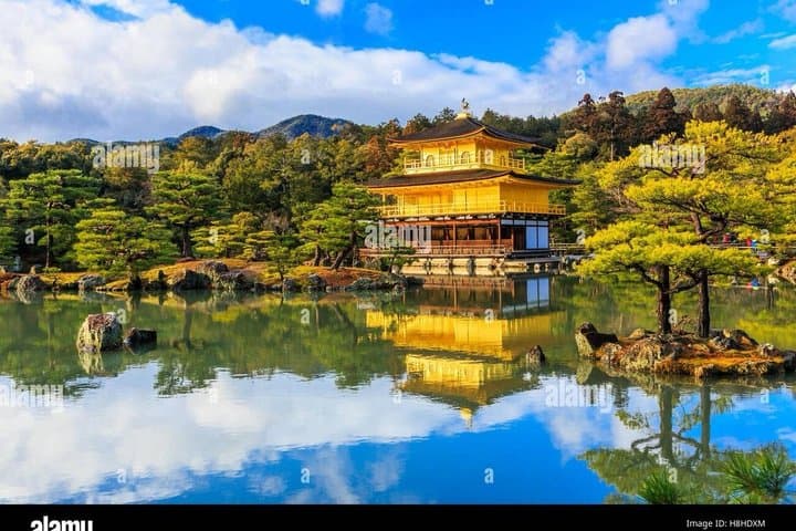 Experience Culture History and Landmarks in Kyoto Nara — photo 4