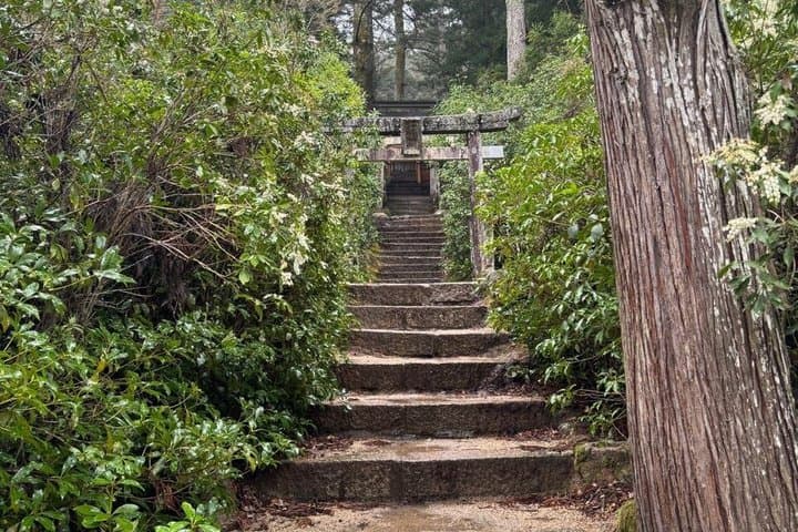 Peaceful Hiroshima : Miyajima Island UNESCO 4 Hour Walking Tour — photo 18