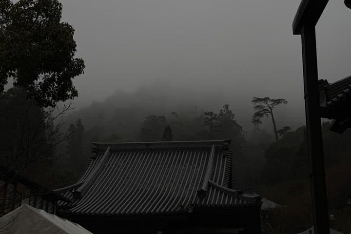 Peaceful Hiroshima : Miyajima Island UNESCO 4 Hour Walking Tour — photo 11