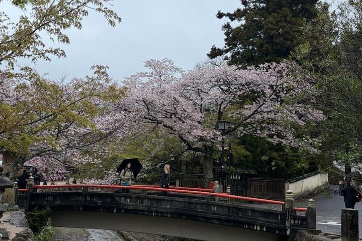 Peaceful Hiroshima : Miyajima Island UNESCO 4 Hour Walking Tour — photo 12