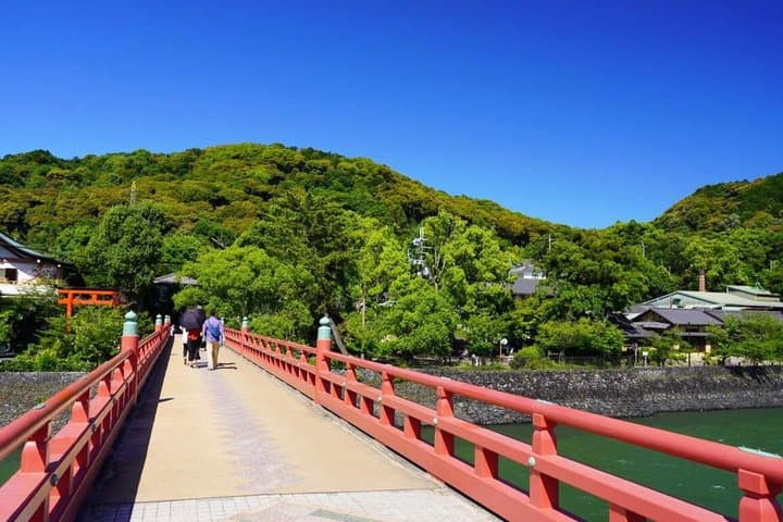 Nara Deer Park, Todaiji Temple, Uji Matcha & Hot Spring Day Tour — photo 16