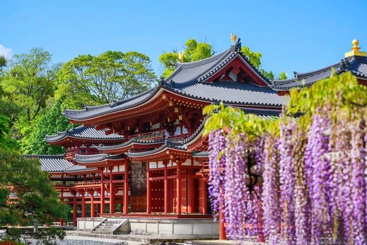 Nara Deer Park, Todaiji Temple, Uji Matcha & Hot Spring Day Tour — photo 9
