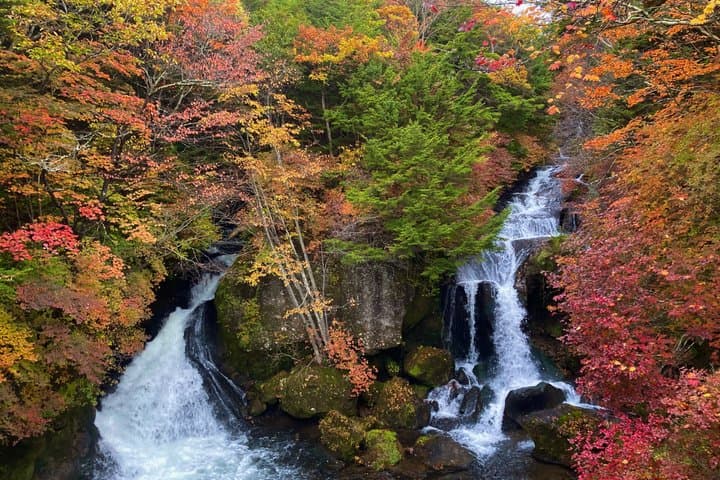 Nikko: Kegon Falls & Lake Chuzenji 3-Hour E-Bike Tour — photo 9