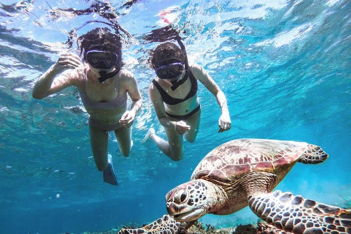 Snorkeling Activity in Okinawa Miyako Japan — photo 6