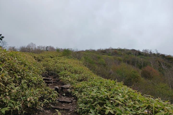 Hiking on Mt Lizuna in Nagano — photo 4