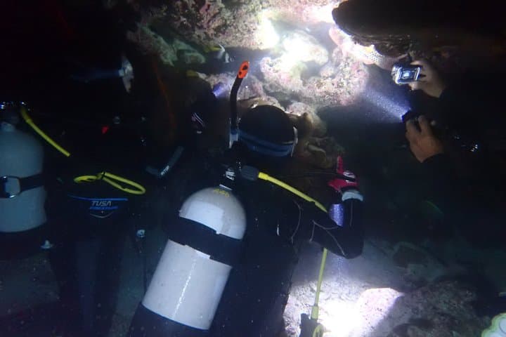 【Okinawa・Ishigaki Island】Night Diving Tour — photo 7