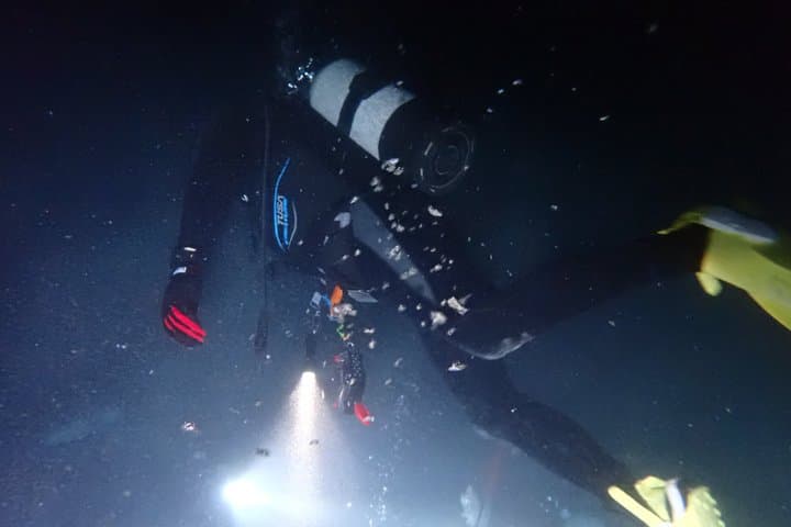 【Okinawa・Ishigaki Island】Night Diving Tour — photo 10