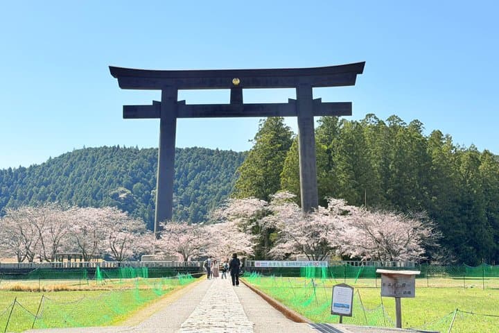 UNESCO KumanoKodo: Complete3Grand Shrines & Nachi Falls Day Trip — photo 4