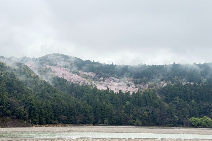 UNESCO KumanoKodo: Complete3Grand Shrines & Nachi Falls Day Trip — photo 5