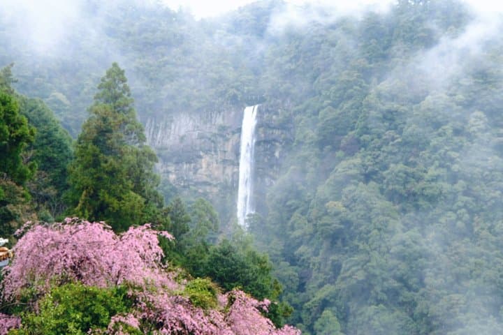 UNESCO KumanoKodo: Complete3Grand Shrines & Nachi Falls Day Trip — photo 6