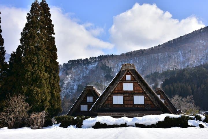 2-Day Bus Tour to Shirakawago & Hida No Sato Winter Illumination — photo 5