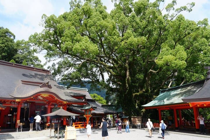 UNESCO KumanoKodo: Complete3Grand Shrines & Nachi Falls Day Trip — photo 12
