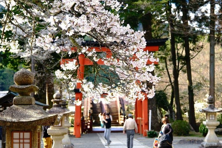 Koyasan Spiritual Day Trip: Goma Fire Ritual & Okunoin Forest — photo 7