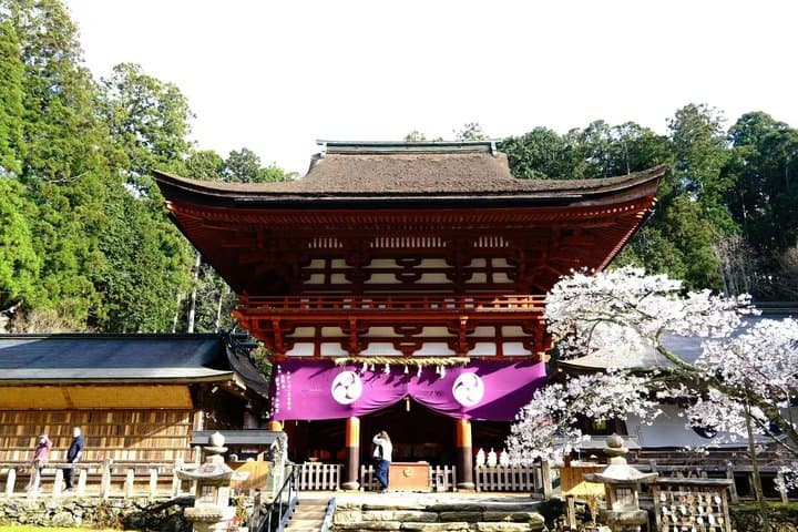Koyasan Spiritual Day Trip: Goma Fire Ritual & Okunoin Forest — photo 6