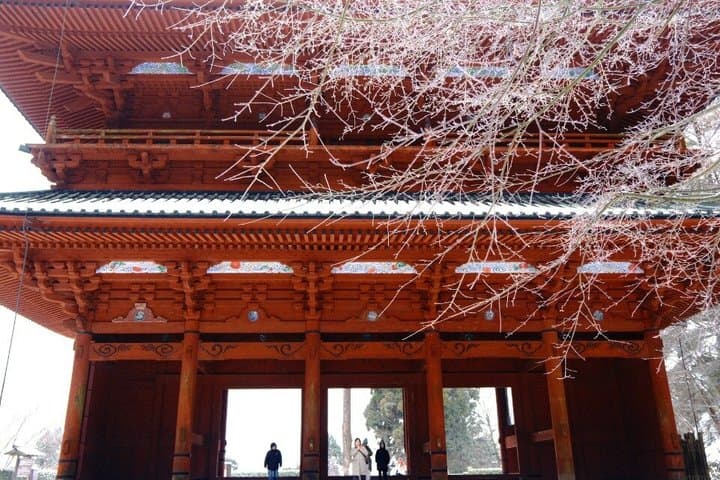 Koyasan Spiritual Day Trip: Goma Fire Ritual & Okunoin Forest — photo 17