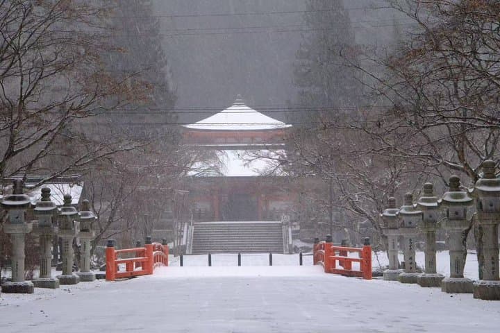 Koyasan Spiritual Day Trip: Goma Fire Ritual & Okunoin Forest — photo 19