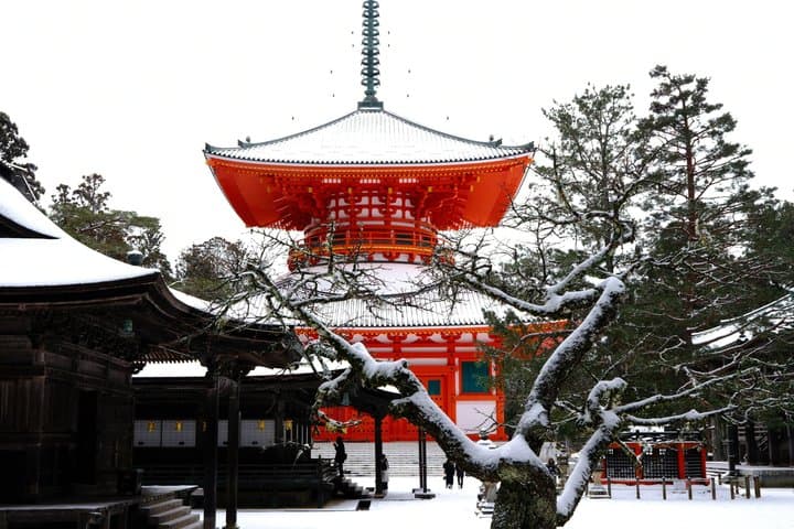 Koyasan Spiritual Day Trip: Goma Fire Ritual & Okunoin Forest — photo 20