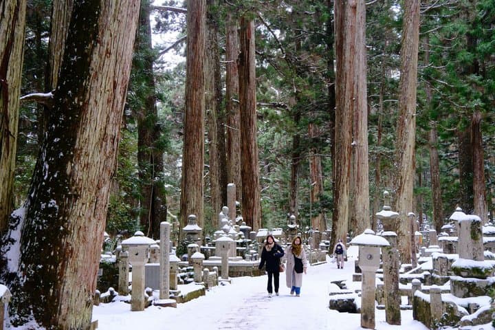 Koyasan Spiritual Day Trip: Goma Fire Ritual & Okunoin Forest — photo 18