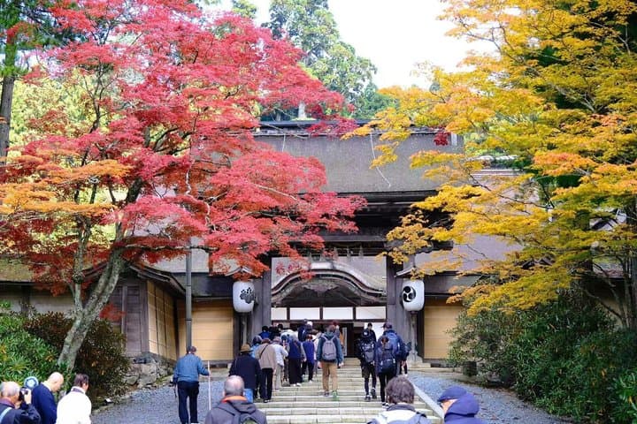 Koyasan Spiritual Day Trip: Goma Fire Ritual & Okunoin Forest — photo 12
