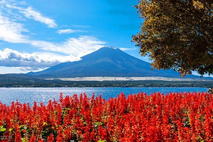 Mt. Fuji scenic spot: Ladder Town Oshino Hakkai, Kawaguchiko tour — photo 8