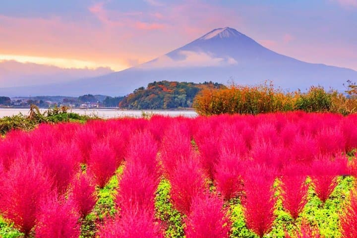Mt. Fuji scenic spot: Ladder Town Oshino Hakkai, Kawaguchiko tour — photo 9