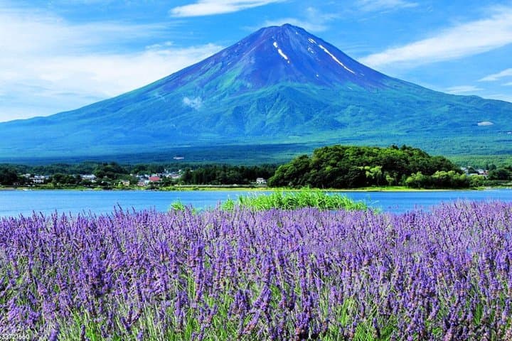 Mt. Fuji scenic spot: Ladder Town Oshino Hakkai, Kawaguchiko tour — photo 7