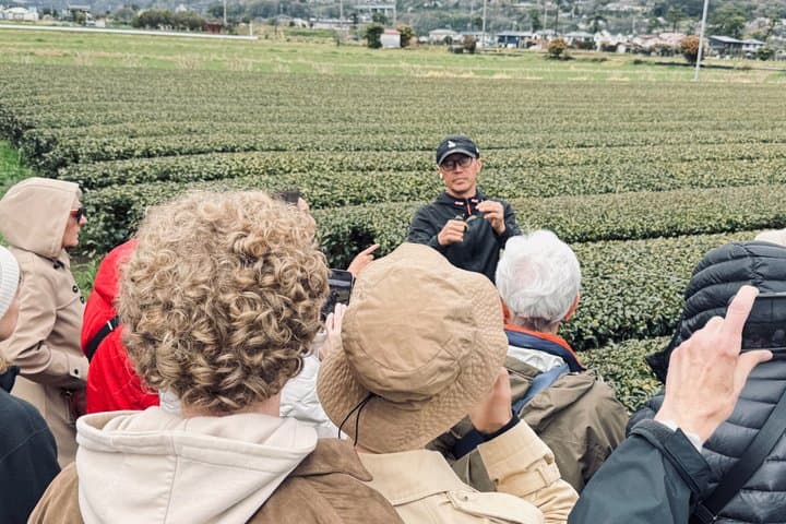 Authentic Tea Picking Experience and Farm to-Table Lunch Tokyo — photo 4