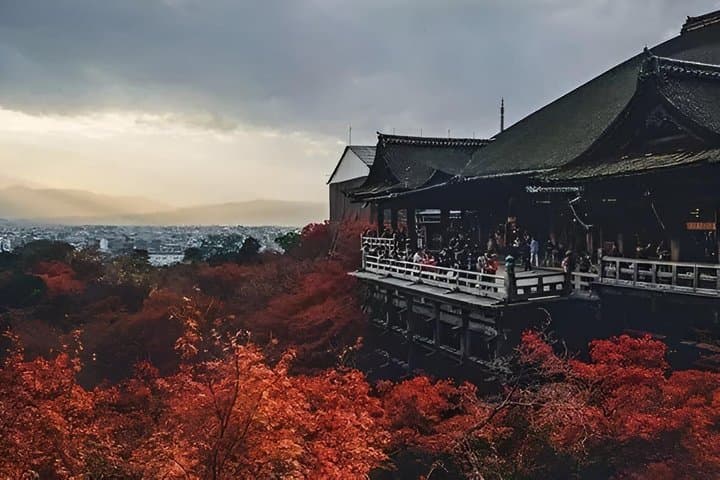 Kyoto and Nara Private 10 Hour Tour from Osaka — photo 12