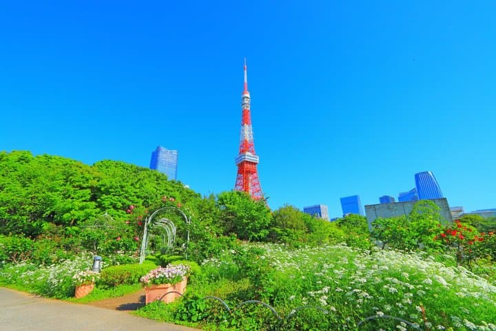 Discover Tokyo by Train and Walk — photo 2
