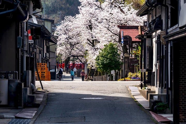 Explore Takayama’s Nightlife Private Walking Tour with Dinner — photo 5