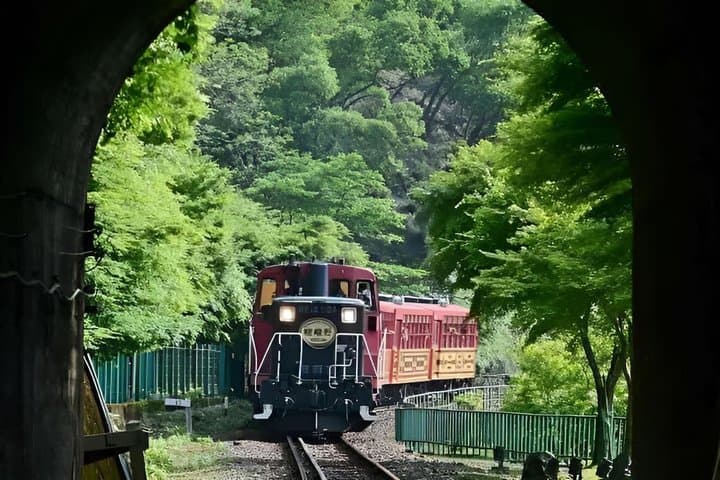 Kyoto and Nara Private 10 Hour Tour from Osaka — photo 16