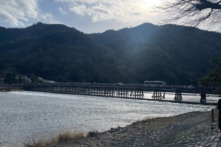 Kyoto Guided Tour of Bamboo Forest, Temple and more — photo 5