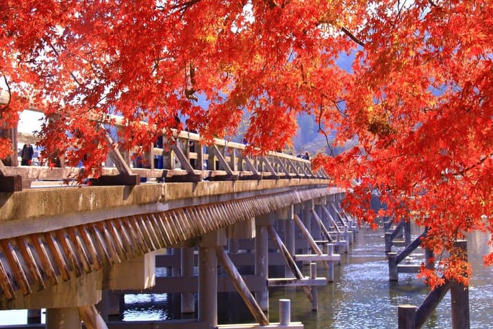 Kyoto Guided Tour of Bamboo Forest, Temple and more — photo 3
