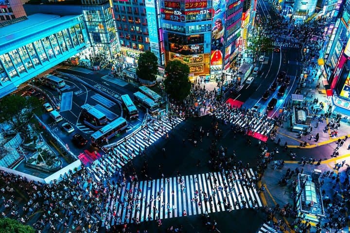 Private Tokyo Tour by Car with Custom Itinerary & English Guide — photo 2